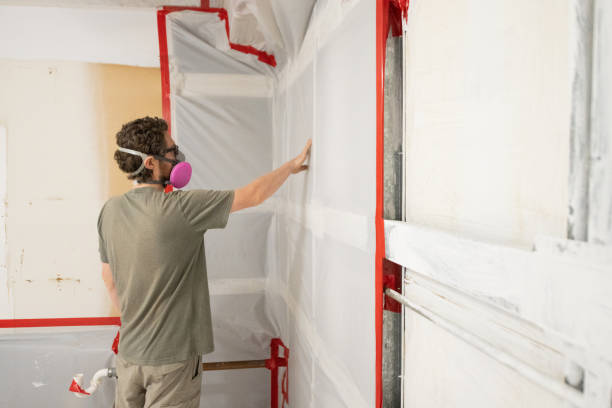 Best Mold Remediation for Vacation Homes  in Midland, TX