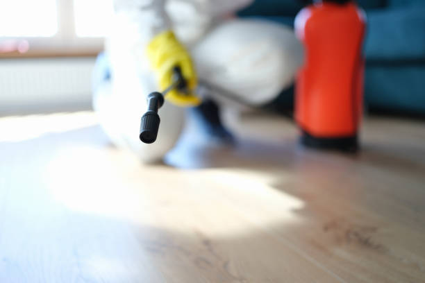 Best HVAC Mold Inspection and Cleaning  in Midland, TX