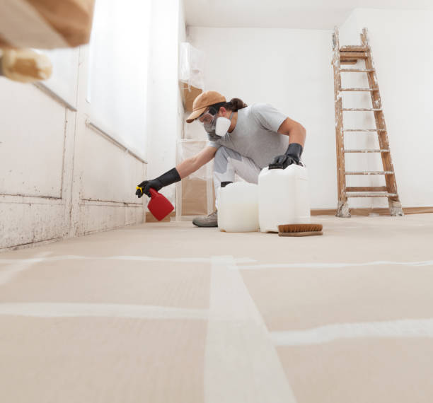 Mold Remediation for Vacation Homes in Midland, TX
